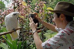 0098 Cairns Tropical Zoo